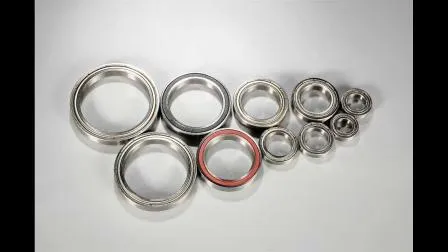 Deep Groove Ball Bearing 6004