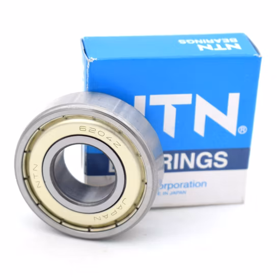 6004 2RS, 6000 Series Deep Groove Ball Bearing